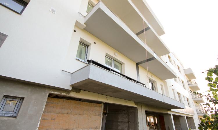 Vitioara Residence