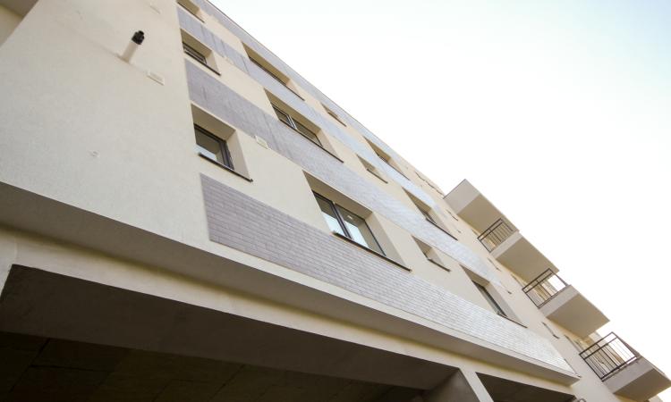 Vitioara Residence