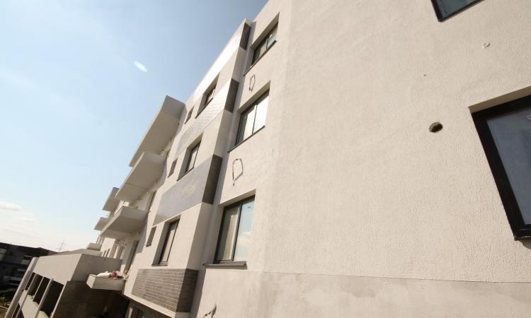 Vitioara Residence