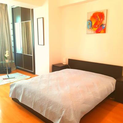 Herastrau- Lake View- Apartament 2 camere
