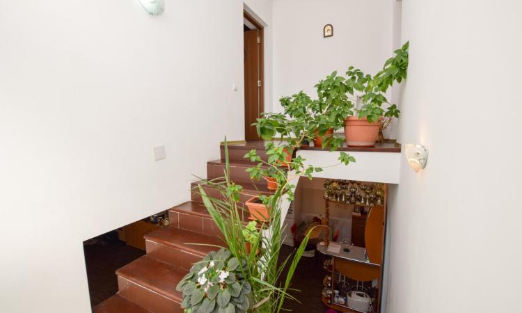 Vila -4 camere - Pipera
