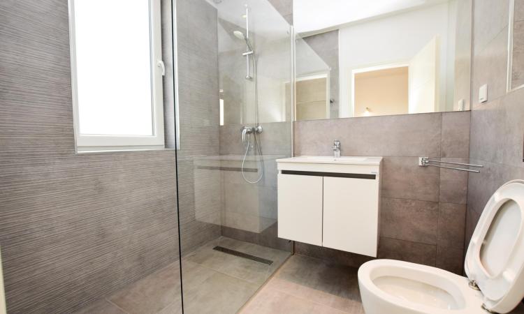 Pipera Tunari - Biomedica - vila P+1+M - 171 mpc