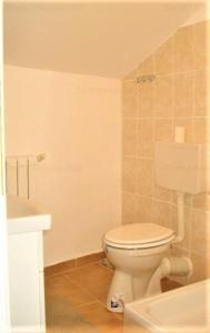 Vila 8 Camere Romana - Lascar Catargiu