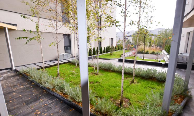 CATTED Residence Pipera - first rent - 3 rooms with 2 parking spaces