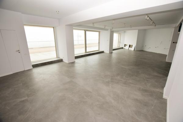 Duplex 6 camere 463 mpc - Herastrau - vedere panoramica