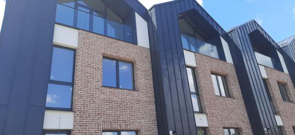 Vila P+2E Pipera - Iancu Nicolae - Cantacuzino (Drumul Potcoavei)