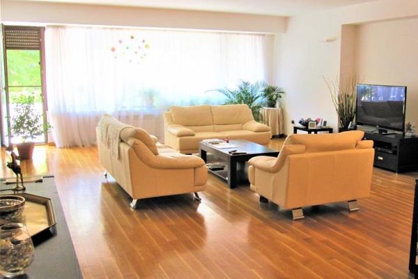 4 camere LUX 217 mp-Dorobanti Capitale-Imobil 2008