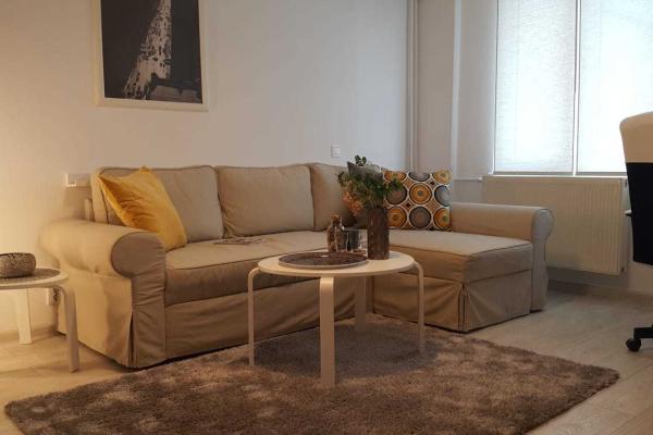 Inchiriere studio-Dorobanti