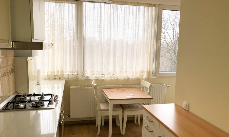 Apartament cu 4 camere Cismigiu - Parc - renovat