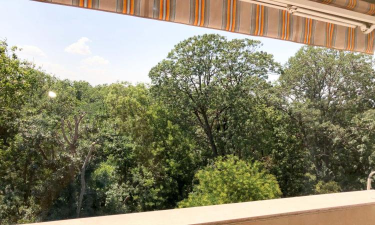 Apartament cu 4 camere Cismigiu - Parc - renovat