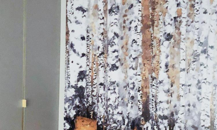 3 camere NOU - UNIRII - HOROSCOP - parcare subterana
