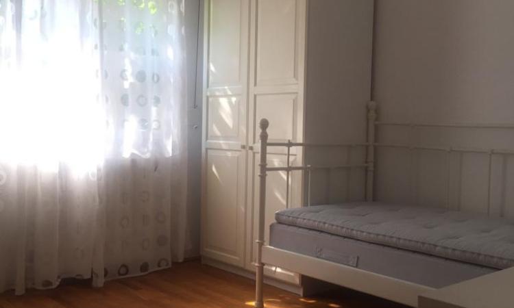 Banaeasa, Neagoe Voda, zona linistita