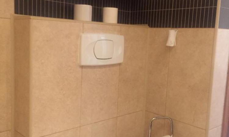 Banaeasa, Neagoe Voda, zona linistita