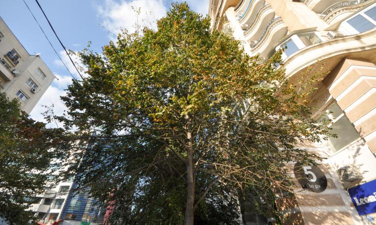 Bd Unirii Rond Alba Iulia Nerva Apar Decomandat 2 camere