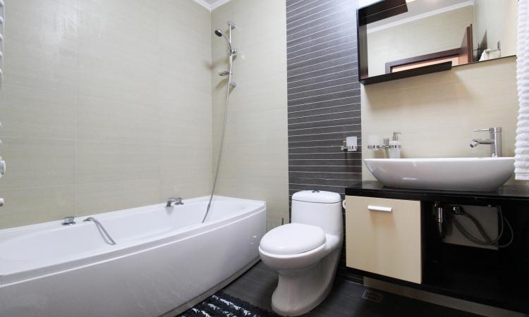 Apartament modern 2 camere Baneasa - Petrom City