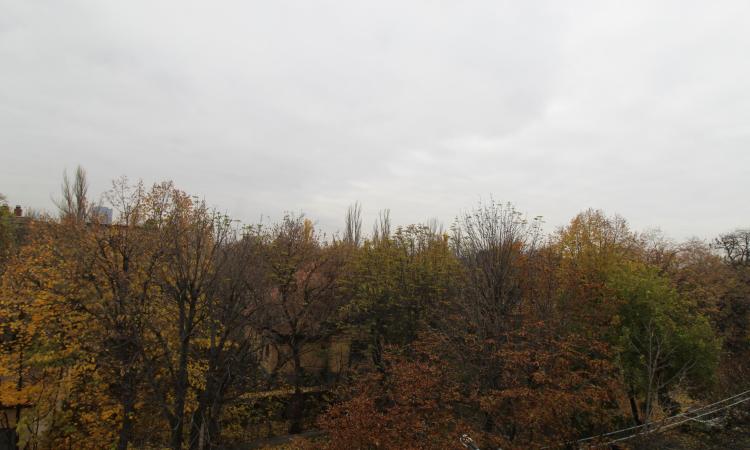 Apartament deosebit - 2 camere Baneasa - Herastrau