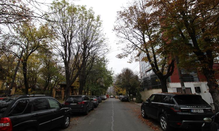 Apartament deosebit - 2 camere Baneasa - Herastrau