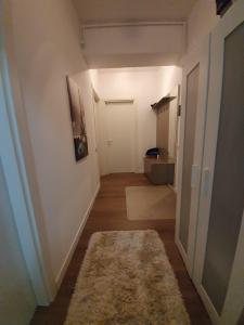 Apartament 2 camere-PRIVIGHETORILOR-VEDERE PADUREA BANEASA