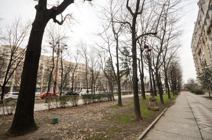 Bd Unirii Fanatani Spatiu Birouri 4 camere 100mp