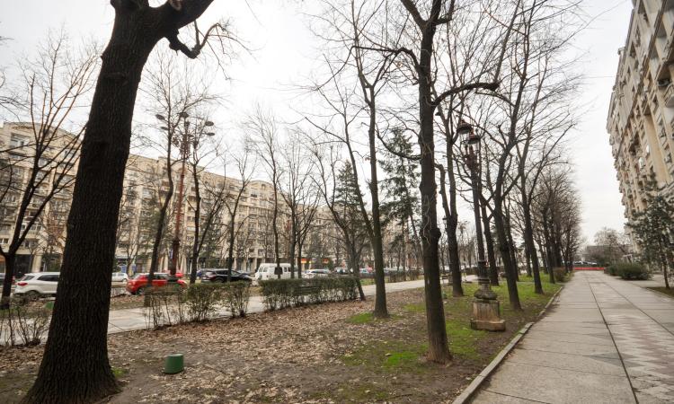 Bd Unirii Fanatani Spatiu Birouri 4 camere 100mp