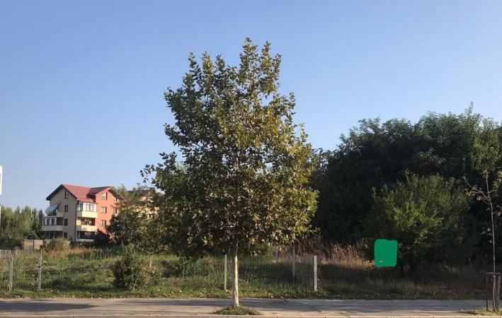 Vanzare teren Sisesti 1202 mp POT 60% CUT 2.5