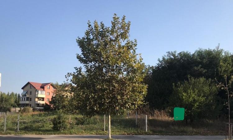 Vanzare teren Sisesti 1202 mp POT 60% CUT 2.5