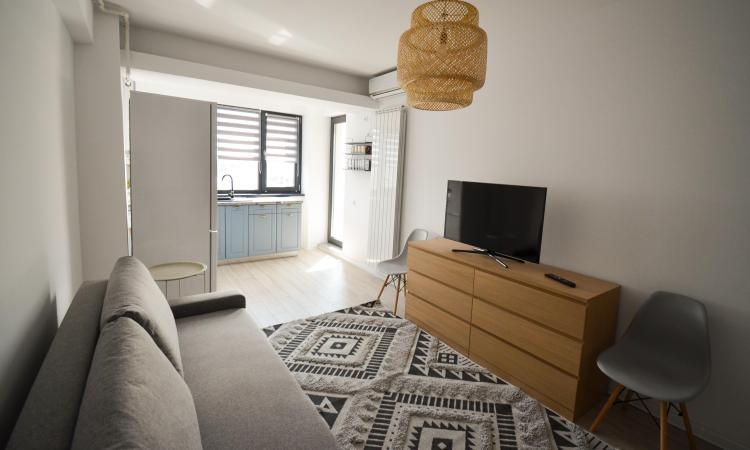2 rooms - furnished - 50 sqm - Novum Invest - Grozavesti