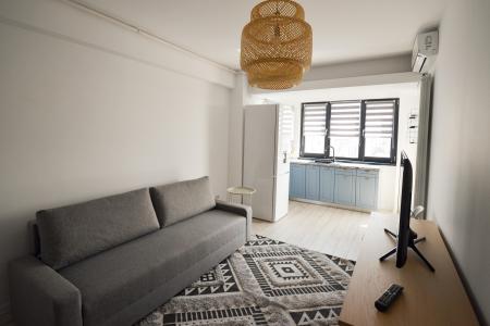 2 rooms - furnished - 50 sqm - Novum Invest - Grozavesti