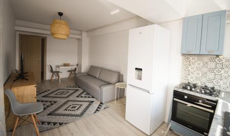 2 rooms - furnished - 50 sqm - Novum Invest - Grozavesti