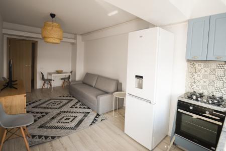 2 rooms - furnished - 50 sqm - Novum Invest - Grozavesti