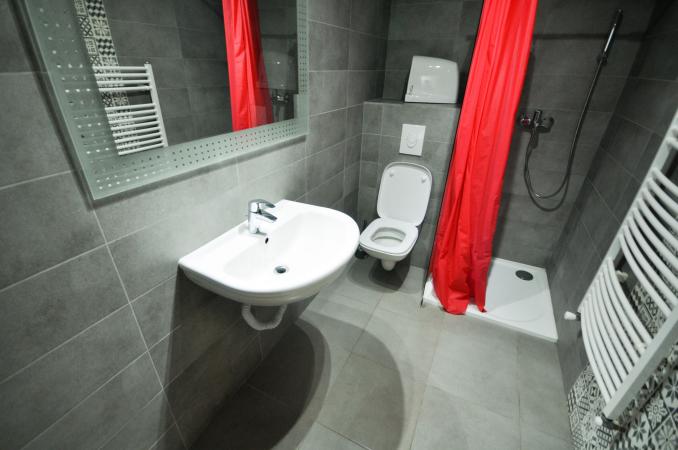 Unirii Piata Alba Iulia Spatiu birouri 8 camere Vila D+P+E 200mp