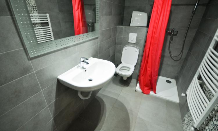Unirii Piata Alba Iulia Spatiu birouri 8 camere Vila D+P+E 200mp