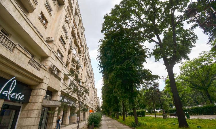 Apartament 3 camere - mobilat/utilat -Bulevardul Unirii 20 - Fantani