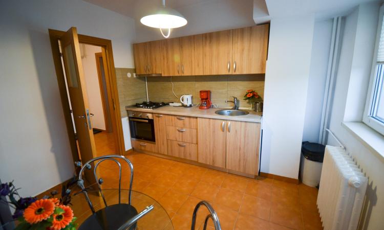 Apartament 3 camere - mobilat/utilat -Bulevardul Unirii 20 - Fantani