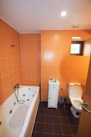 Apartament 2 Camere Deosebit - Green Lake Baneasa