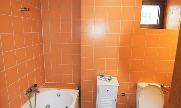 Apartament 2 Camere Deosebit - Green Lake Baneasa