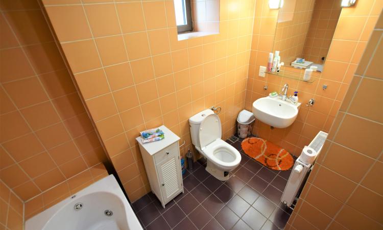 Apartament 2 Camere Deosebit - Green Lake Baneasa