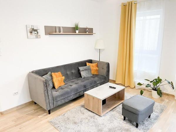 Unirii Coposu Calea Calarasi Apart 2 camere Bloc Nou Centrala
