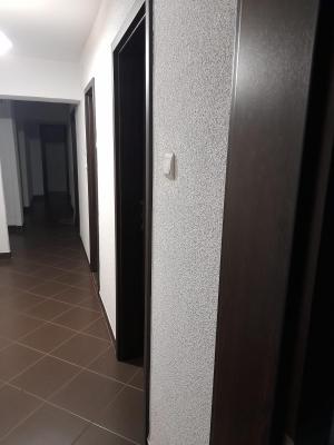 Bd Decebal Rond Alba Iulia Muncii Spatiu birouri 3 camere