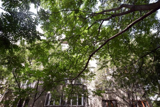 Calea Calarasi Delea Apartament 3 camere Centrala Proprie Balcon