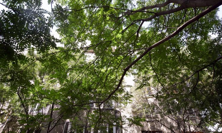 Calea Calarasi Delea Apartament 3 camere Centrala Proprie Balcon