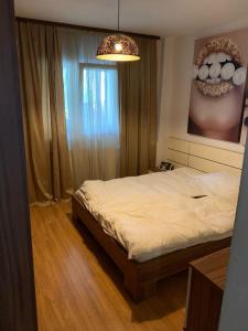 Unirii-Zepter-Octavian Goga/Complet renovat/loc de parcare ADP