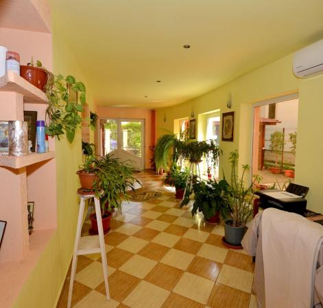 Baneasa - VATRA NOUA, vila P+M, 7 camere
