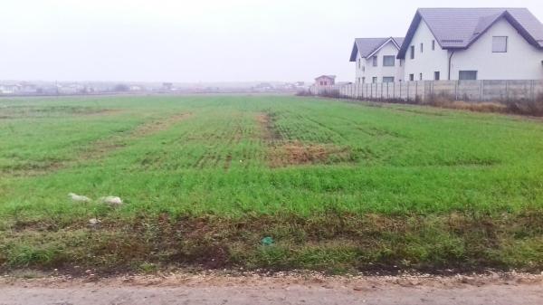 Dragomiresti-Vale - Strada Ulmului, teren intravilan, suprafata 3.750 mp