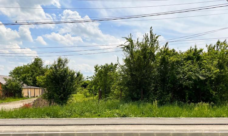 Balotesti - Caciulati, teren intravilan, suprafata 2.596 mp