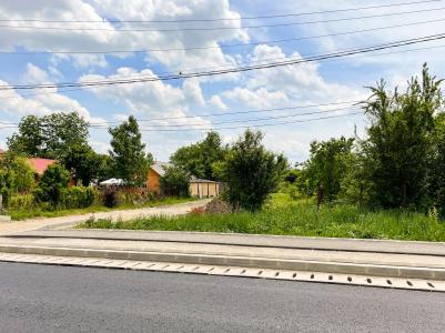 Balotesti - Caciulati, teren intravilan, suprafata 2.596 mp