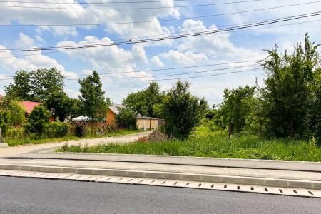 Balotesti - Caciulati, teren intravilan, suprafata 2.596 mp