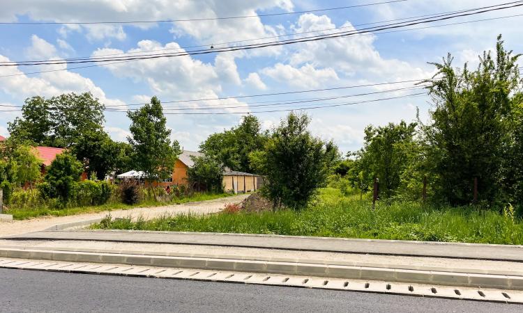 Balotesti - Caciulati, teren intravilan, suprafata 2.596 mp