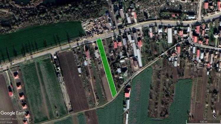 Balotesti - Caciulati, teren intravilan, suprafata 2.596 mp