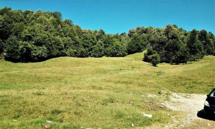 Breaza - Nistoresti, Str. Muresului, teren intravilan, suprafata 6.144 mp
